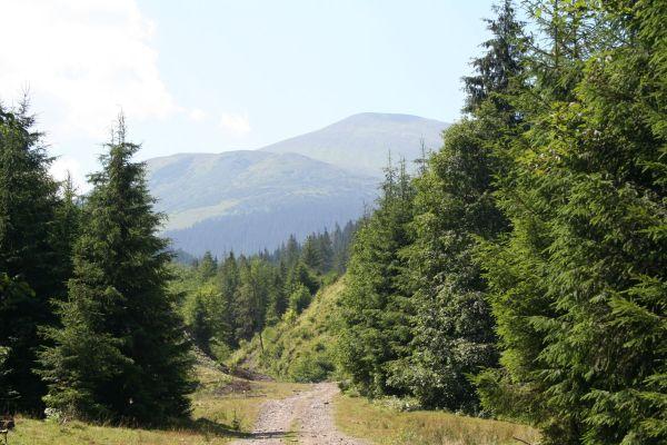 Ukrajina, červenec 2007 > ua (289)