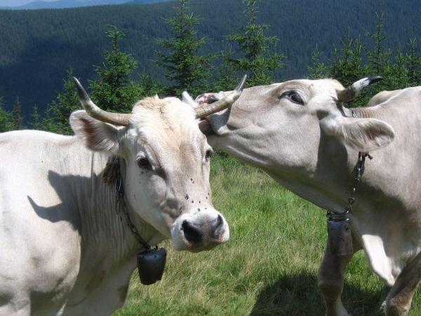 Ukrajina, červenec 2007 > ua (373)