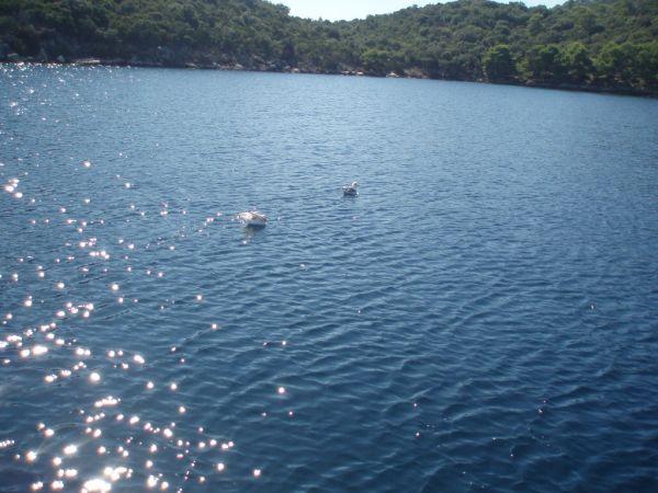Chorvatsko, Šukošan, září 2007 > jachta 09-2007 103