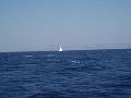 jachta 09-2007 366