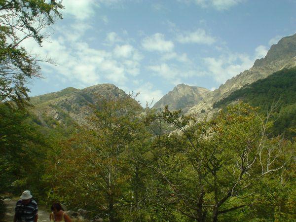 Ostrov Korsika, září 2007 > korzika (144)