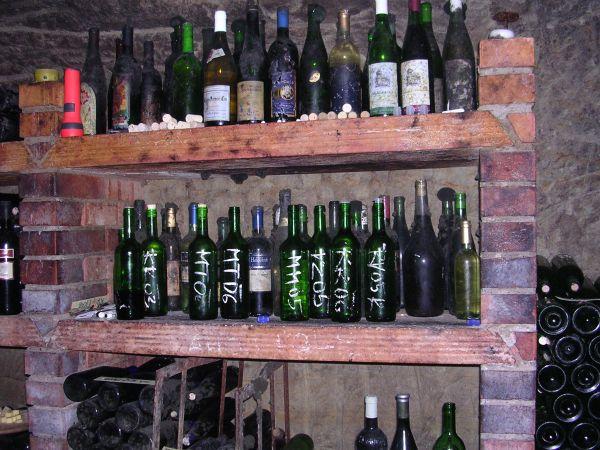 Morava, Znojmo, září 2007 > kola-zamek-sklipek (33)