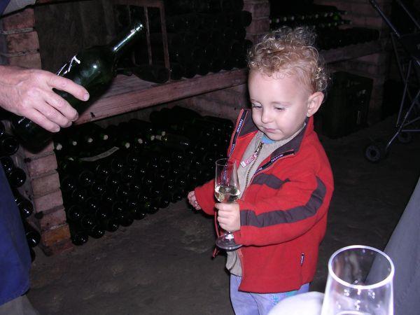 Morava, Znojmo, září 2007 > kola-zamek-sklipek (36)