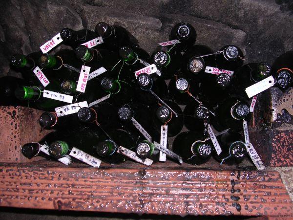 Morava, Znojmo, září 2007 > kola-zamek-sklipek (52)