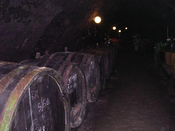 Morava, Znojmo, září 2007 > kola-zamek-sklipek (55)