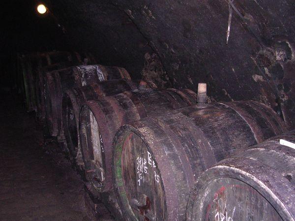 Morava, Znojmo, září 2007 > kola-zamek-sklipek (56)