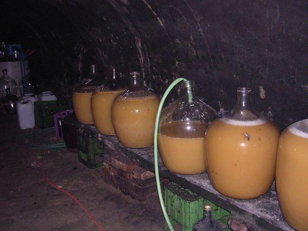 Morava, Znojmo, září 2007 > kola-zamek-sklipek (57)